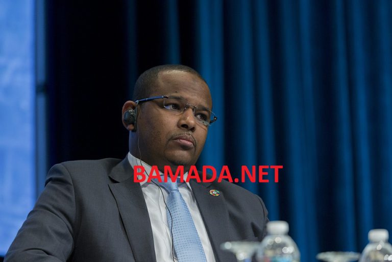 Banque-Mondiale-france-boubou-cisse-ministre-economie-finances-mali-reunion-ptf-conference-fmi