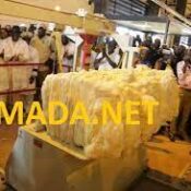 téléchargement (97)