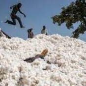 téléchargement (1)